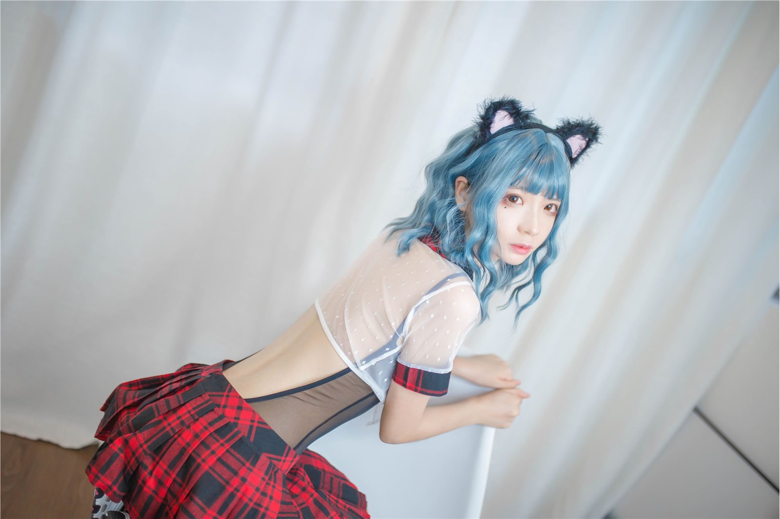 Crazy cat with blue hair(5)